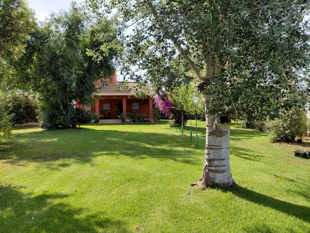 Casa rústica amb piscina en venda a Cartaya