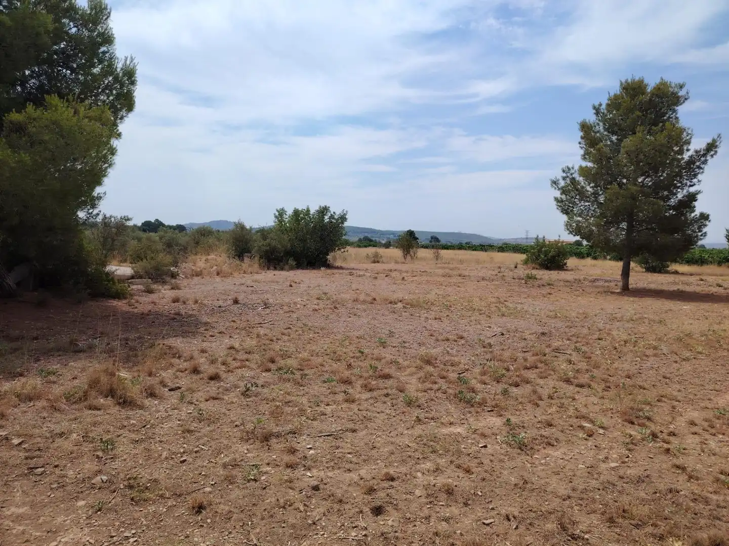 Terrain rustique à vendre à Urbanizaciones, imagen 5