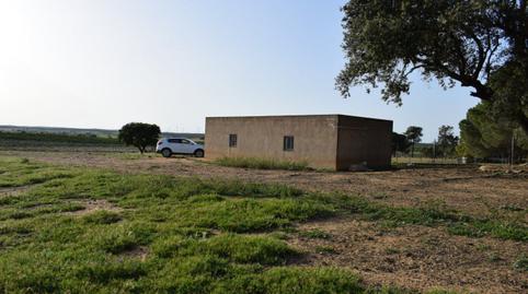 Foto 3 de Finca rústica en venda a Camino Diseminados, Villablanca, Huelva