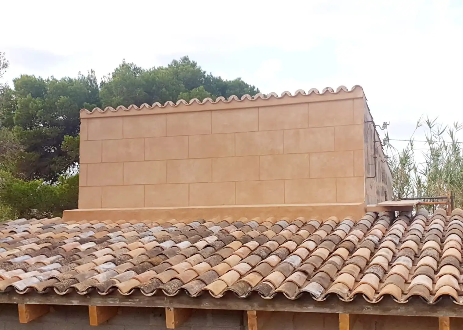 Vista exterior de Finca rústica en venta en Campos