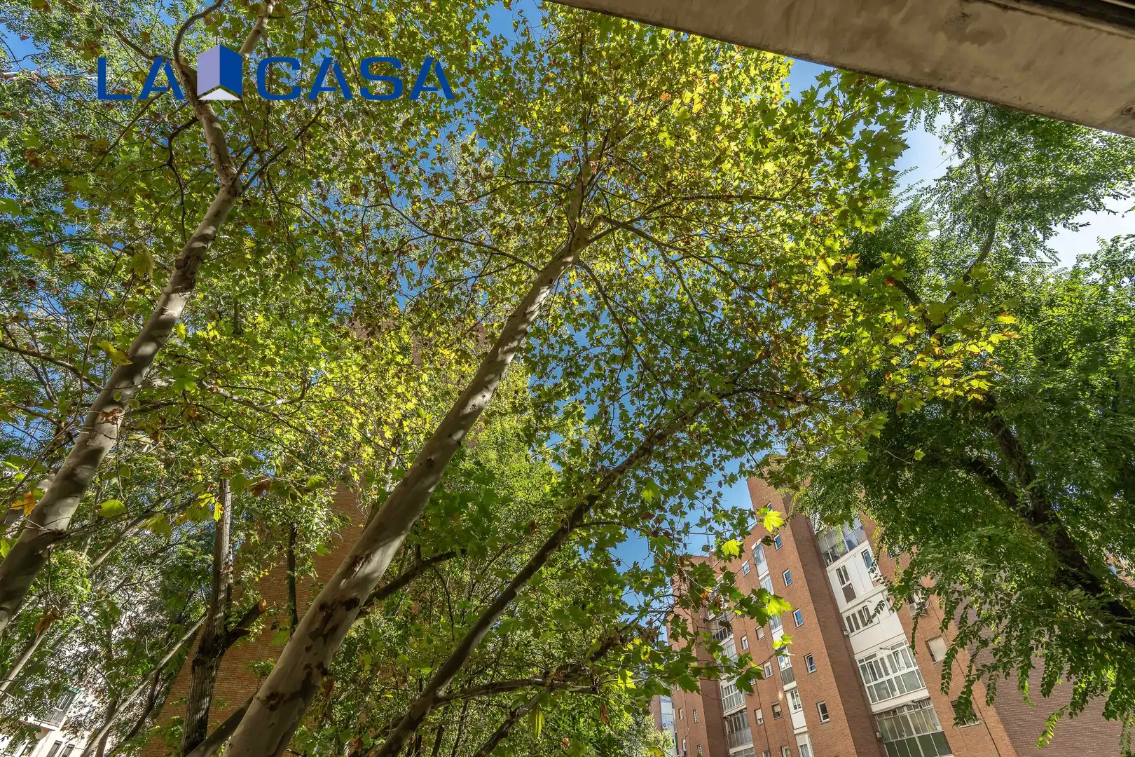 Piso en venta en Calle de Aguilón, Chopera