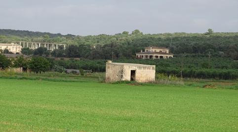 Foto 4 de Terreny en venda a Felanitx Poble, Felanitx