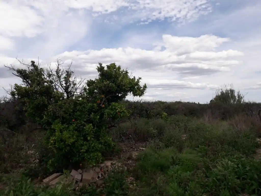 Terrain rustique à vendre à FONDOS, imagen 8