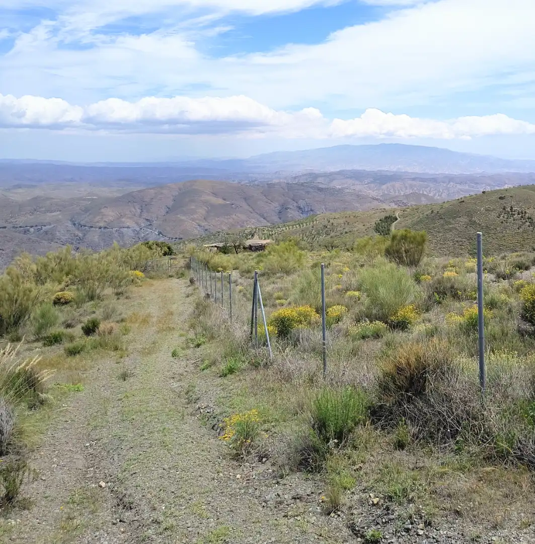 Terreno rustico in vendita a Alboloduy, imagen 17