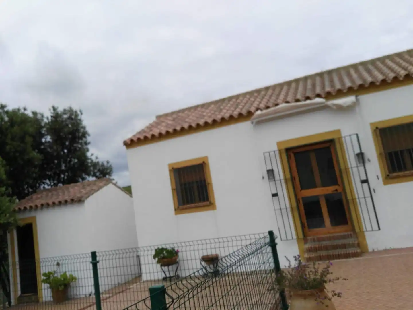 Vista exterior de Finca rústica en venda en Arcos de la Frontera amb Jardí privat i Piscina comunitària