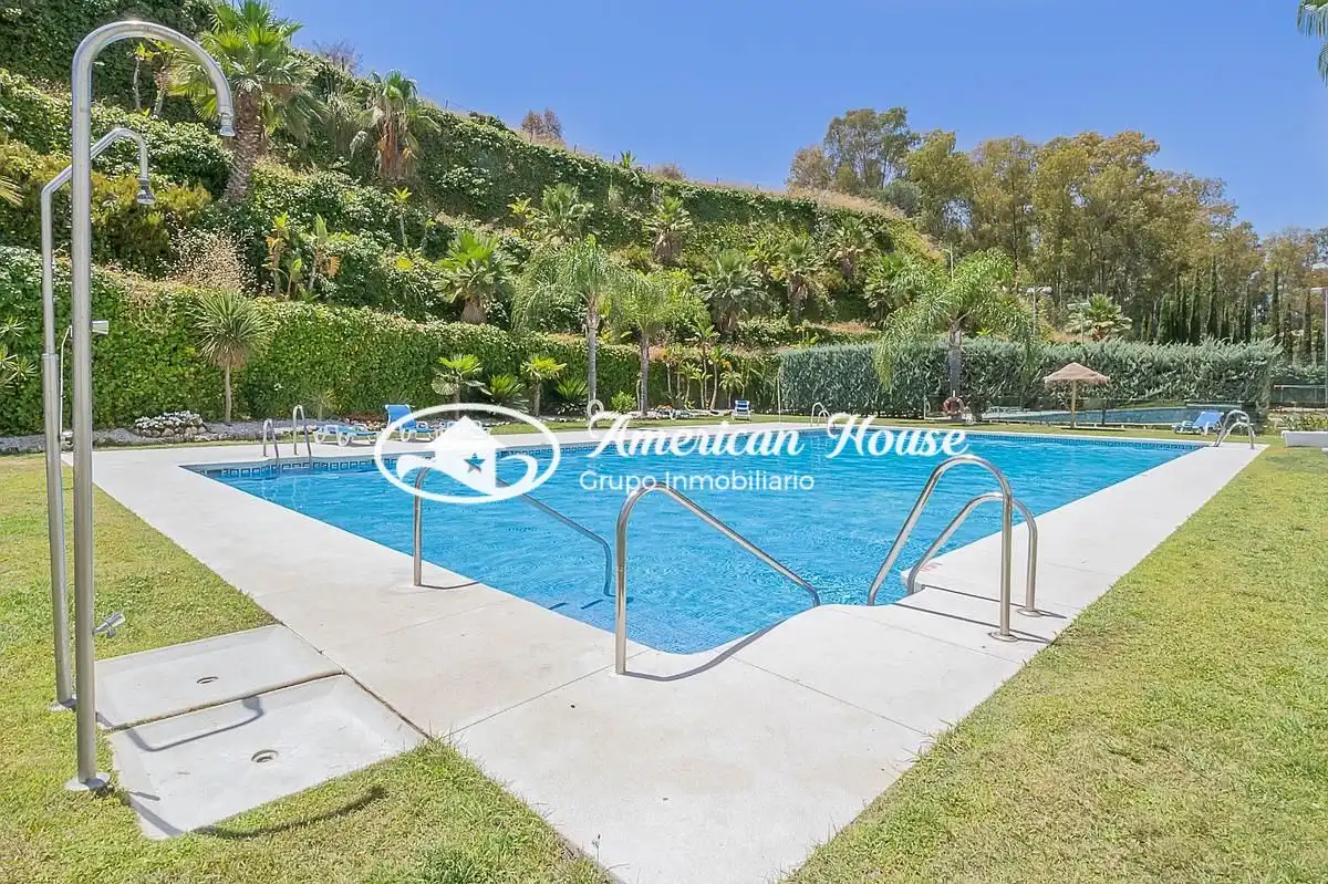 Swimming pool of Apartments for sale in Milla de Oro