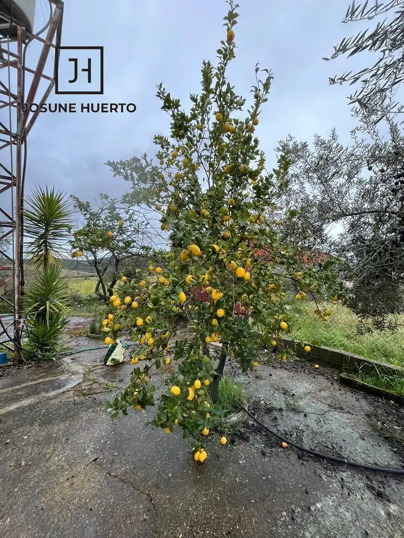 Jardín de Finca rústica en venta en Quintana de la Serena con Calefacción y Jardín privado