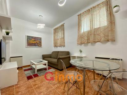 Living room of Flat to rent in  Madrid Capital  with Heating and Furnished