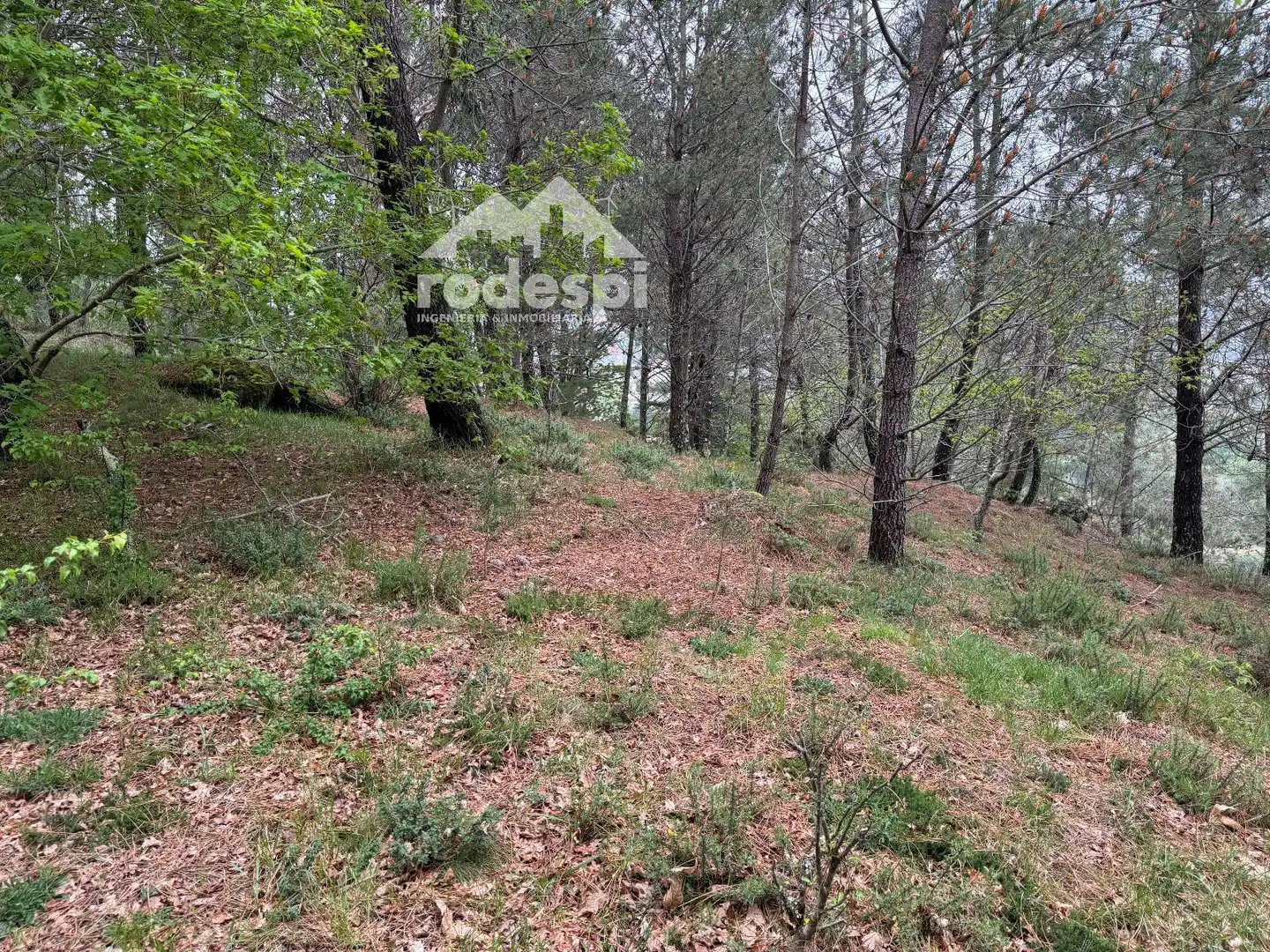 Xalet en venda a Covelo, imagen 67