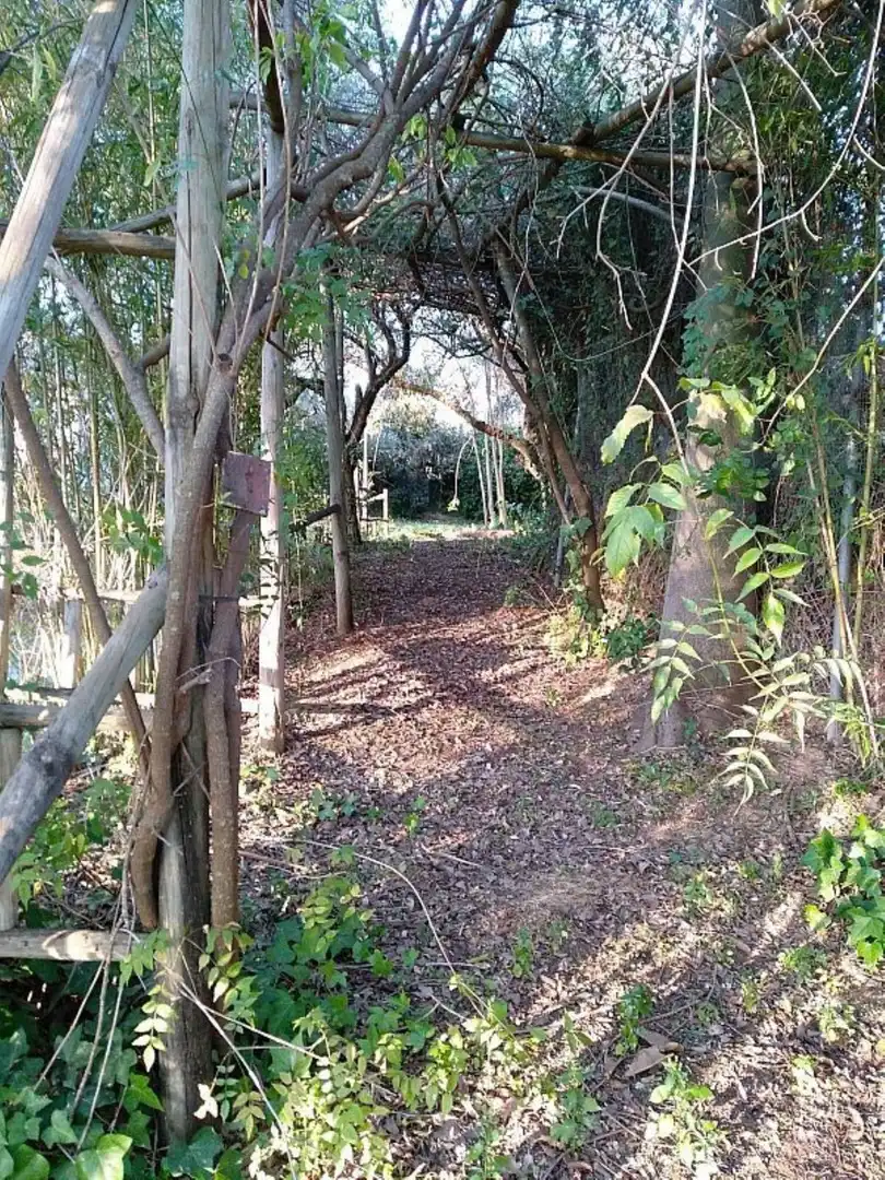 Casa o xalet en venda en Sanlúcar la Mayor amb Aire condicionat, Calefacció i Jardí privat