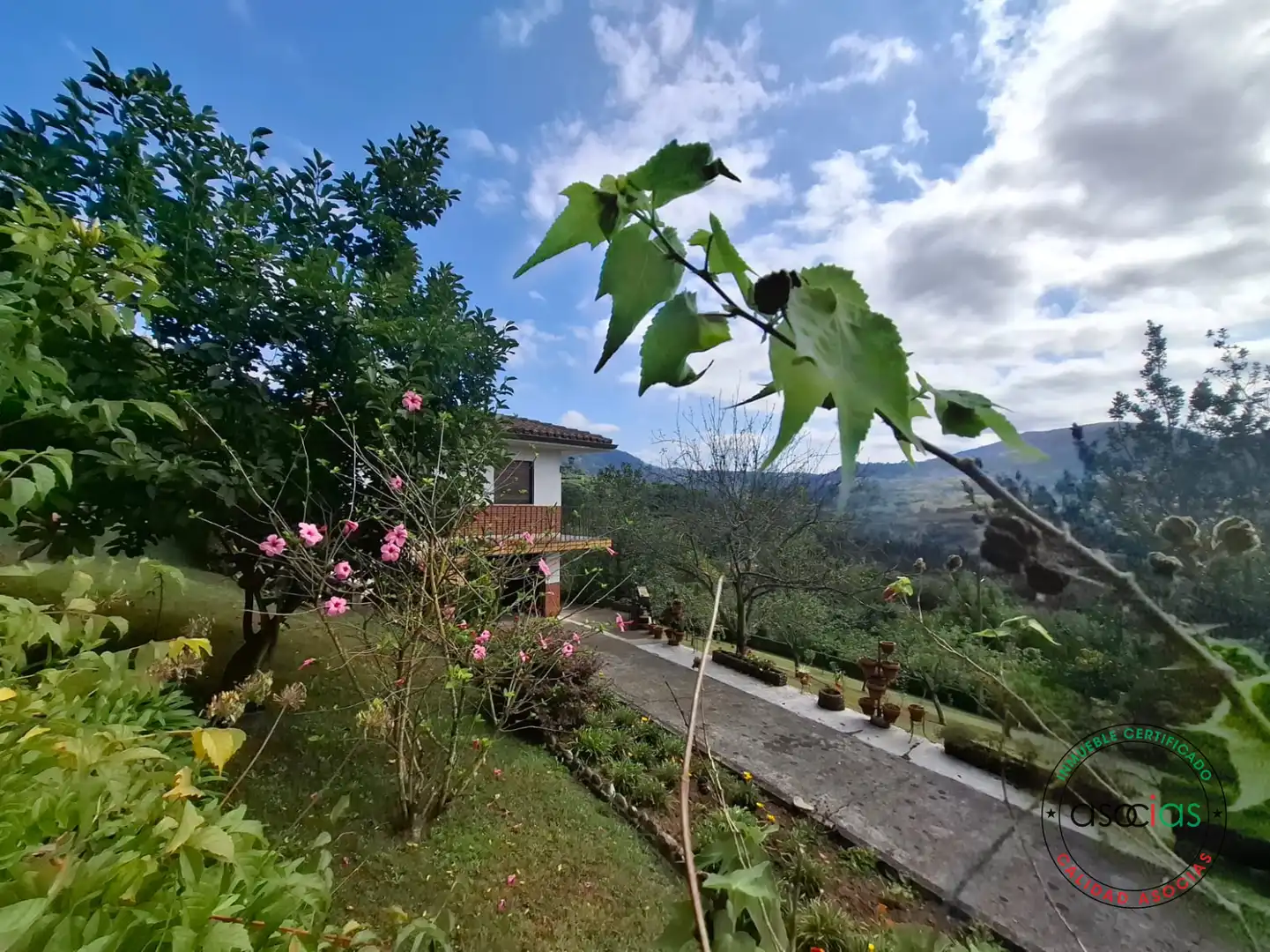 Jardín de Casa o chalet en venta en Gijón  con Jardín privado, Terraza y Trastero
