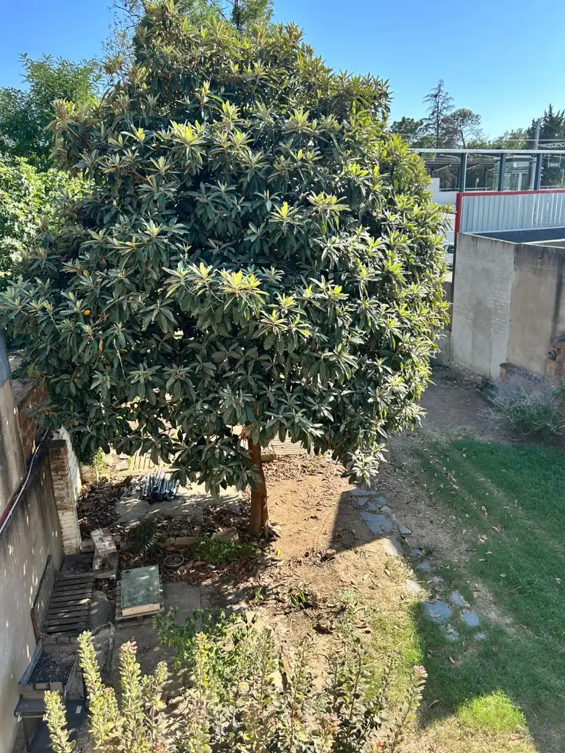 Garden of Houses for rent in Bordils  with Heating, Private garden and Terrace
