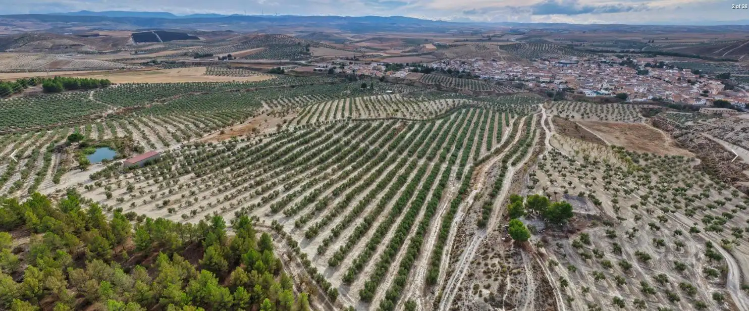 Finca rústica en venta en La Malahá