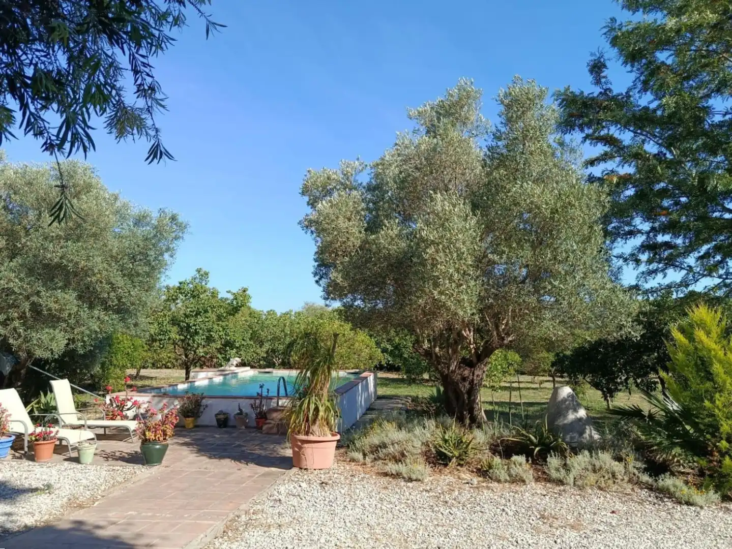 Casa rústica amb piscina en venda a San Martín del Tesorillo, imagen 51