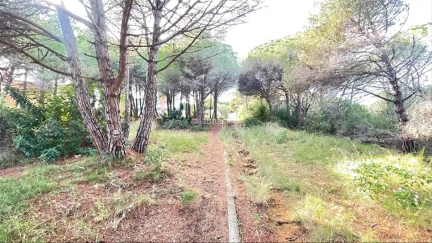 Imatge 3 de l'anunci