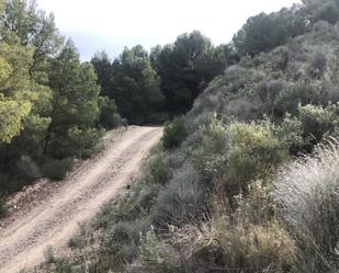 Land for sale in Lorca