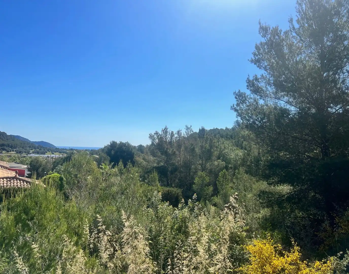 Wohnbaugrundstück zum Verkauf in Son Servera Poble