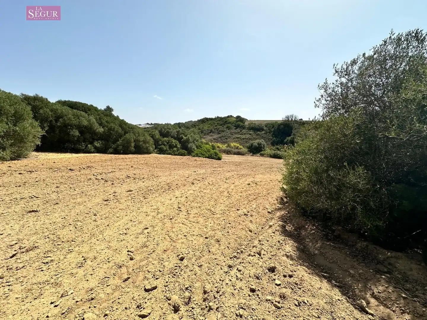 Rural land for sale in Conil, imagen 14