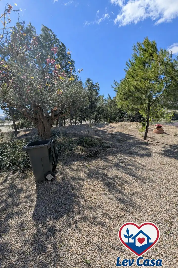 Chalet con piscina en venta en Aledo, imagen 23