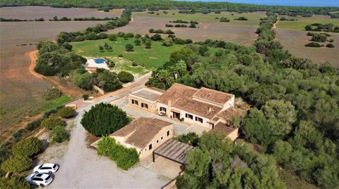 Foto 4 de Terreny de lloguer a Artà Poble, Artà