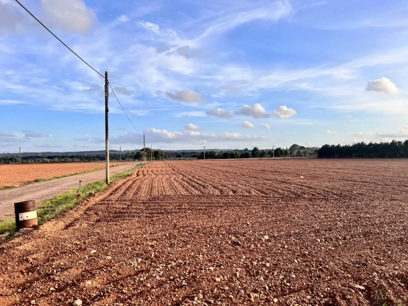 Casa rústica en venta en Llubí, imagen 12