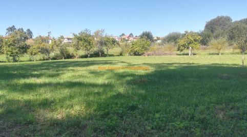 Foto 3 de Finca rústica en venta en Cabral - Candeán, Pontevedra