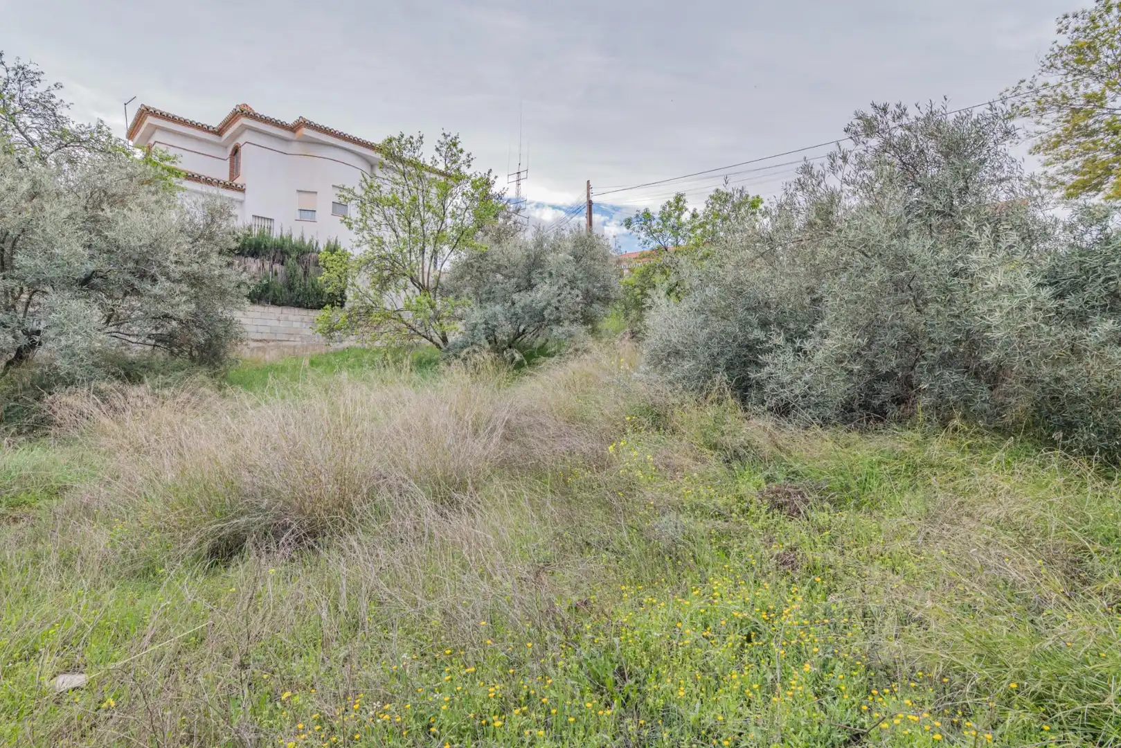 Terrenys i solars en venda a Calle Calle de los Almendros, imagen 9