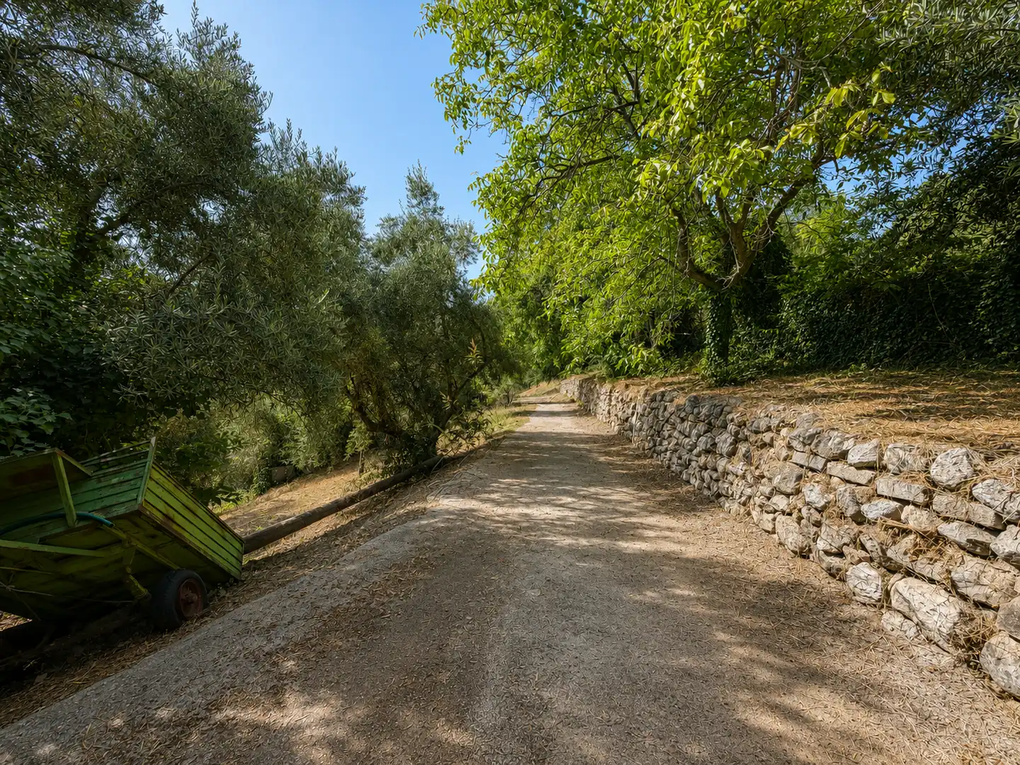 Vista exterior de Finca rústica en venta en Víznar con Jardín privado, Terraza y Trastero