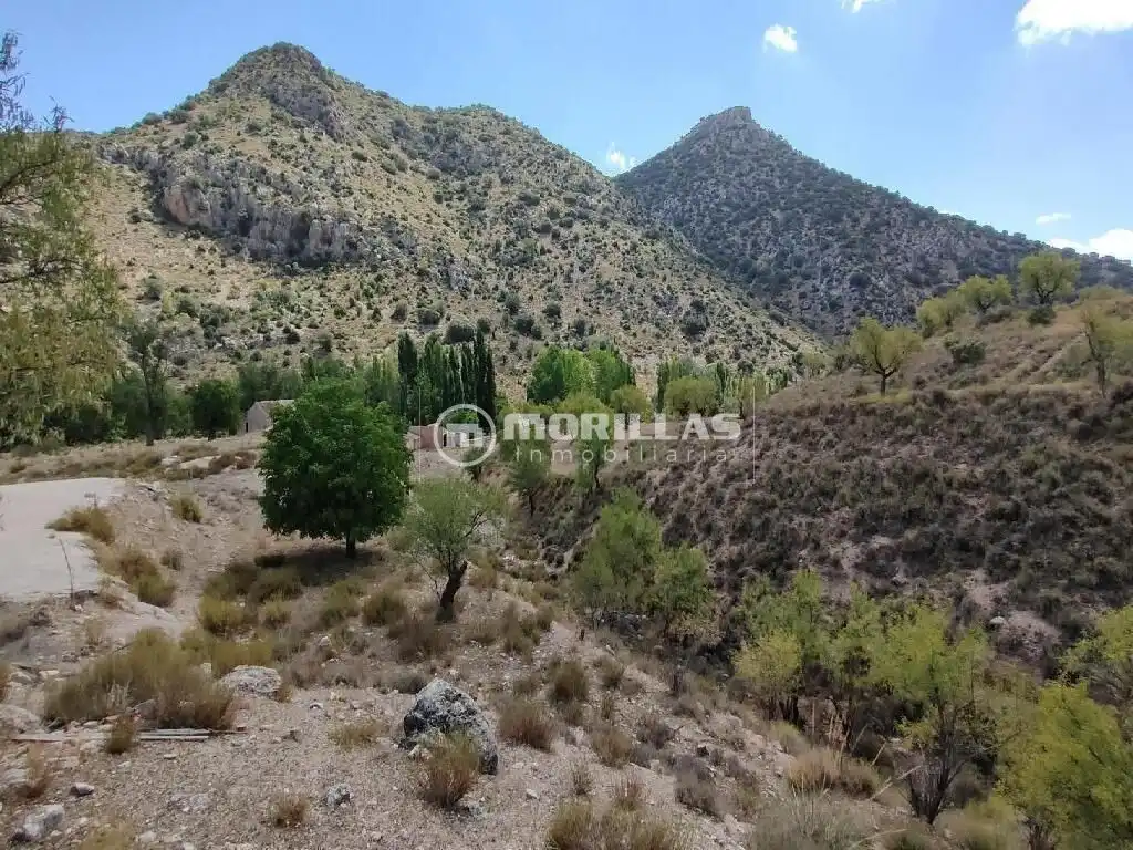 Land for sale in Puebla de Don Fadrique