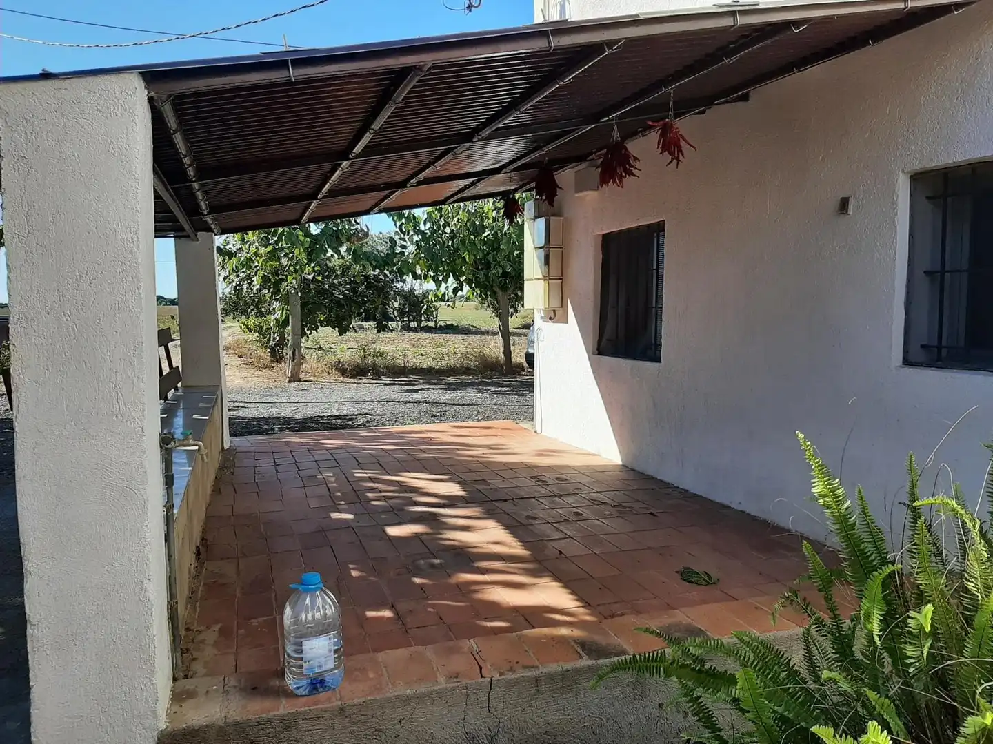 Jardí de Finca rústica en venda en Reus