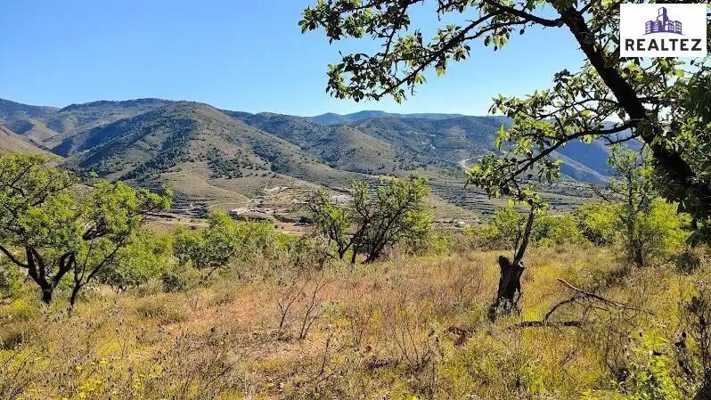 Rural land for sale in Felix, imagen 13