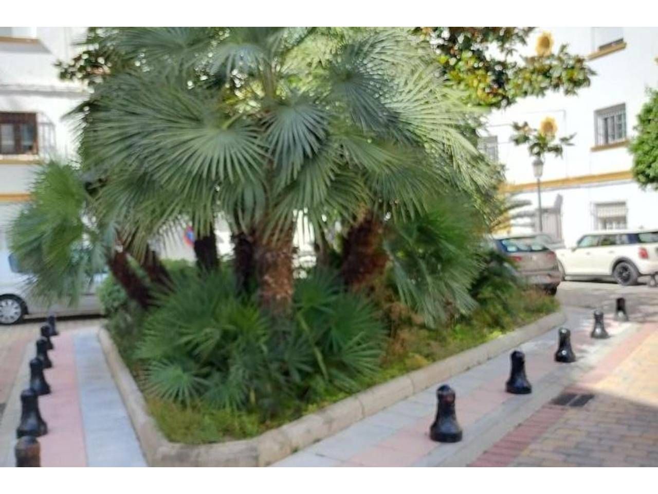 Vista exterior de Apartamento en venta en Marbella con Amueblado