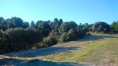 FINCA LABOR SECANO, imagen 5