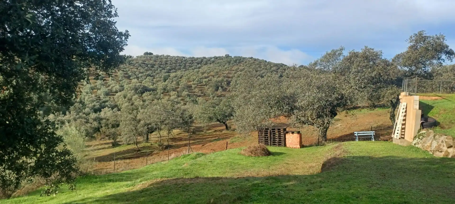 Terreni e lotti in vendita a Cazalla de la Sierra, imagen 52
