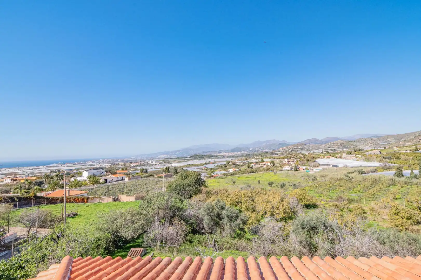 Vista exterior de Casa o chalet en venta en Motril con Jardín privado, Terraza y Piscina