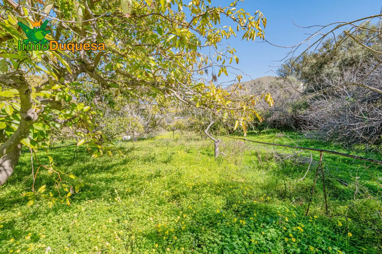 Detached house with pool for sale in Los Tablones - La Garnatilla, imagen 60
