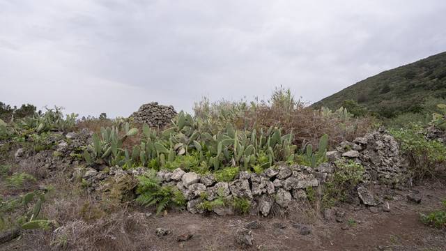 Finca rústica en Venta en N/A en Valverde (Santa Cruz de Tenerife)