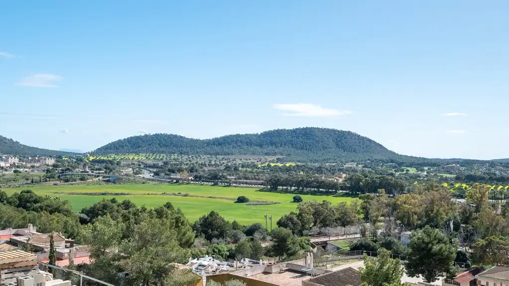 Àtic de lloguer a Costa de la Calma