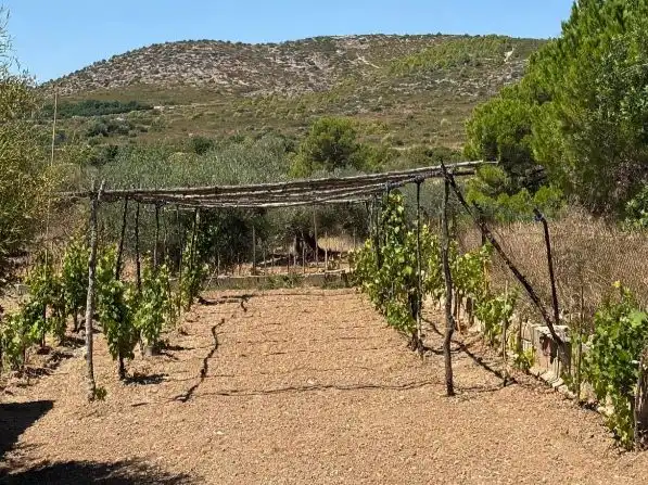 Jardí de Casa o xalet en venda en Benicarló amb Aire condicionat, Terrassa i Piscina