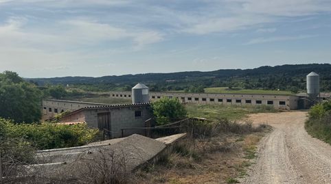 Valderrobres-Granja de cerdos con licencia, immagine 2