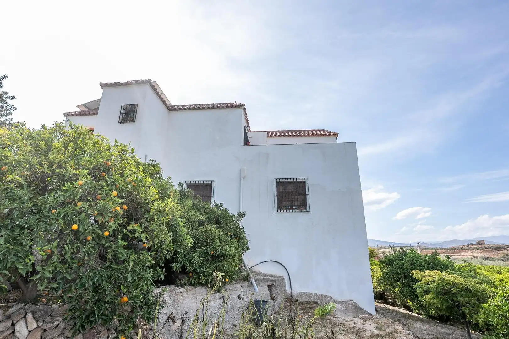 Vista exterior de Casa o chalet en venta en Alhama de Almería con Jardín privado y Terraza