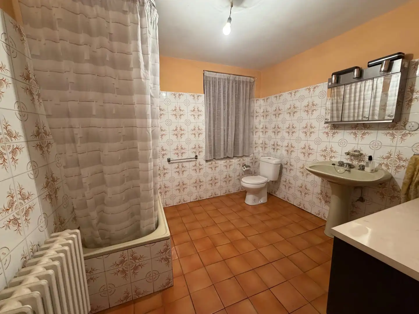 Baño de Casa o chalet en venta en Llamas de la Ribera