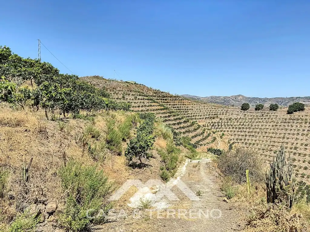 House for sale in Lagar Juan María Rebombeo, Cajiz, imagen 26