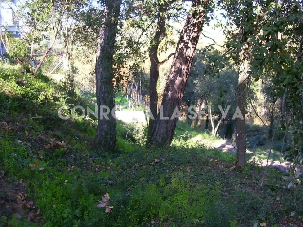 Residential land for sale in Residencial Park, imagen 15