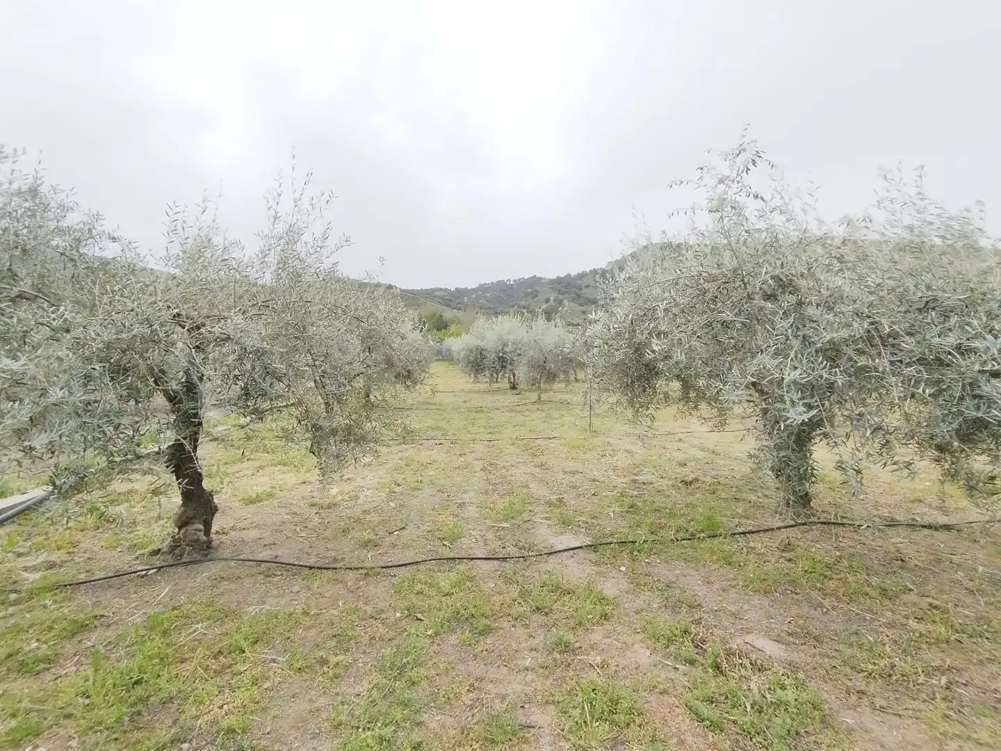 Terreni e lotti in vendita a Carretera Cenes de la Vega, imagen 20