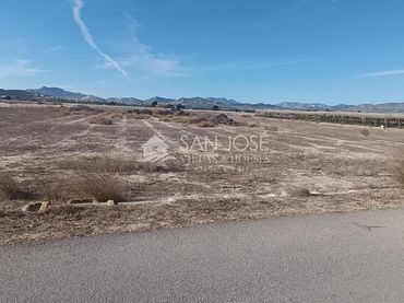 Terreno rústico en venta en Monforte del Cid