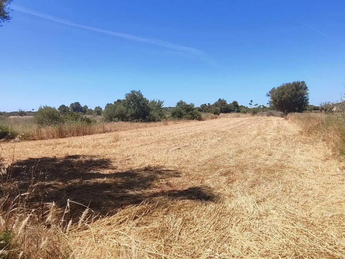 Terreno rústico en venta en Sencelles, imagen 3