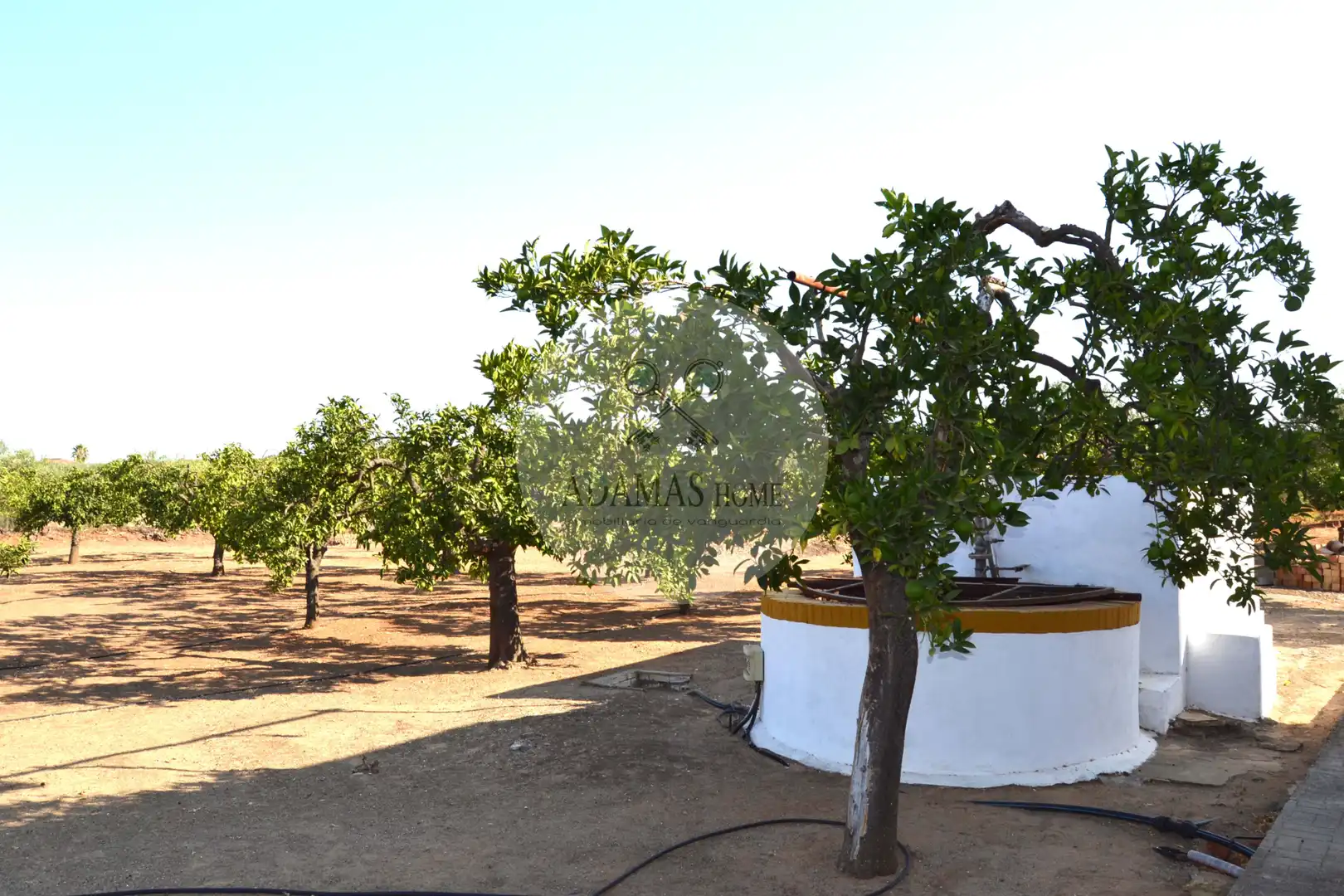 Jardí de Casa o xalet en venda en Sanlúcar la Mayor amb Jardí privat, Terrassa i Piscina