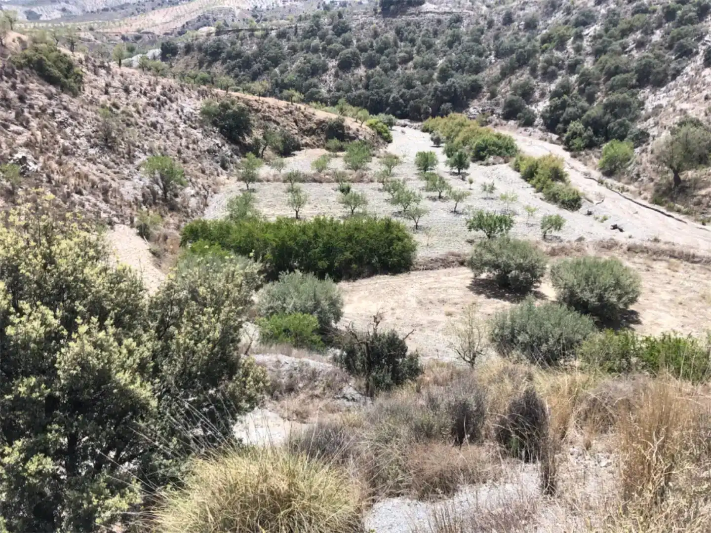 Land for sale in Lorca