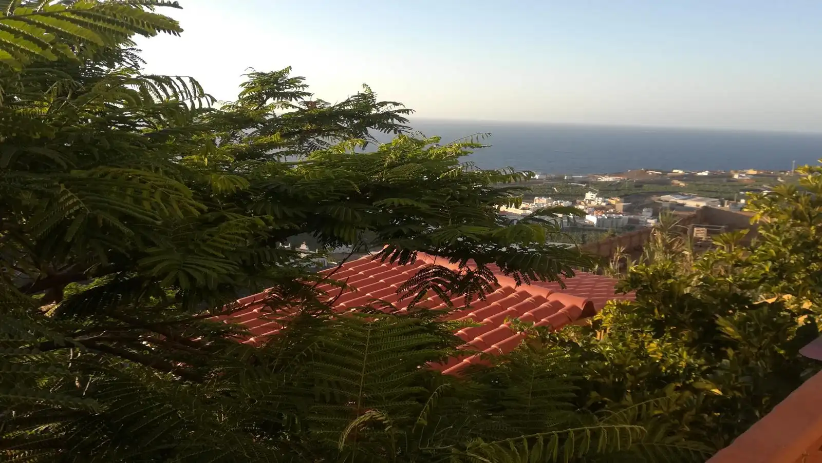 Exterior view of Detached homes for sale in Arucas  with Private garden, Storage room and Furnished